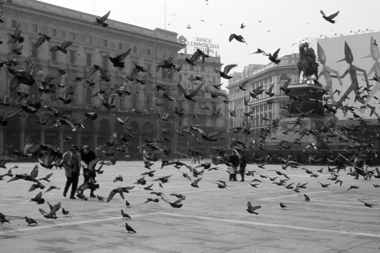 Pigeons - Piazza del Duomo, Milano, Italy - 1991