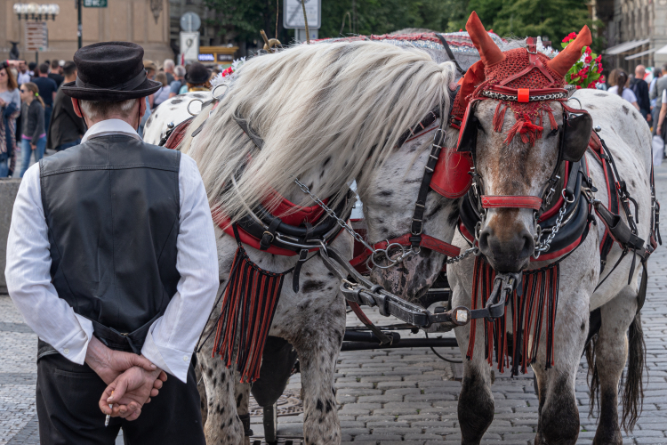 Horse Carriage - Staroměstské náměstí, Prague, Czech Republic - May 18, 2019