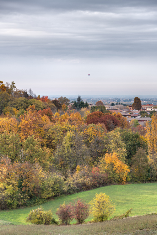 Autumn - Albinea, Reggio Emilia, Italy - November 7, 2021