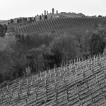 Vineyard - San Gimignano, Siena, Italy - March 26, 2016