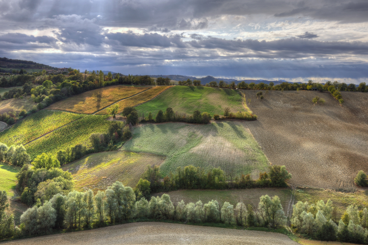 Albinea's Hills - Albinea, Reggio Emilia, Italy - September 19, 2011