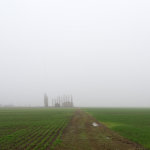 Fog - Crevalcore, Bologna, Italy - November 28, 2014