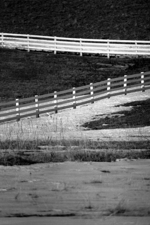 Fence - Ontario, Canada - About 1986