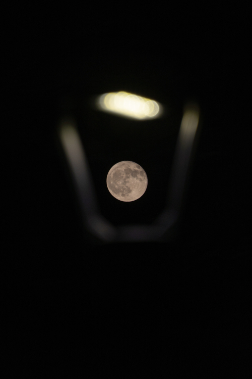 Moon in Street Lamp - Reggio Emilia, Italy - November 1, 2020