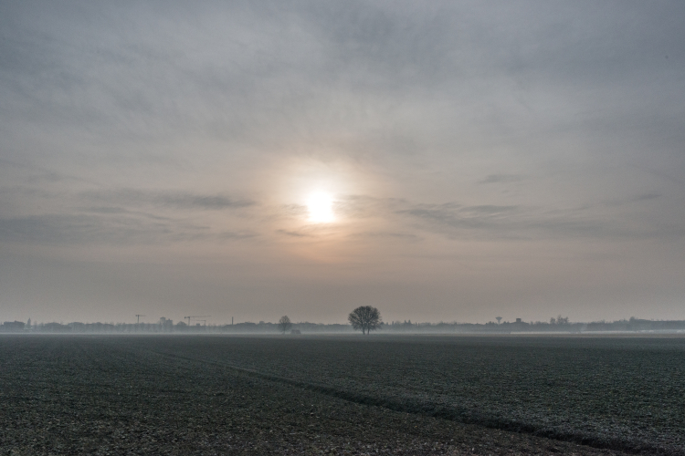 Sunrise - Nonantola, Modena, Italy - January 9, 2015