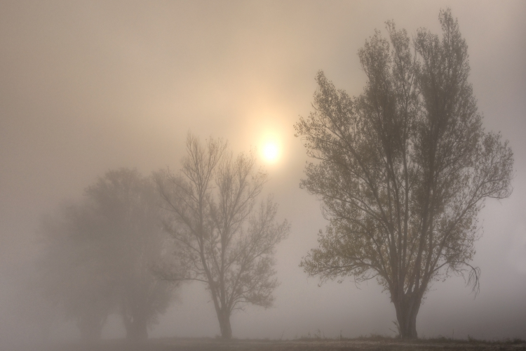 Foggy Sunrise - Sozzigalli, Soliera, Modena, Italy - November 18, 2011