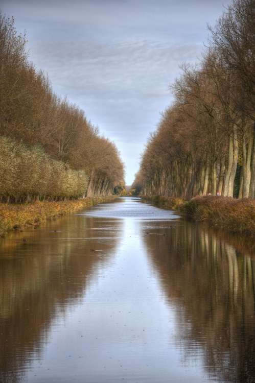 Canal - Damme, Belgium - November 3, 2010