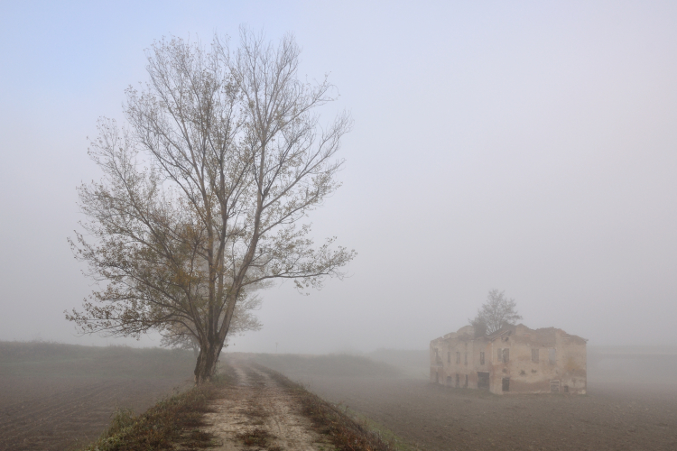 Foggy Morning - Sozzigalli, Soliera, Modena, Italy - November 18, 2011