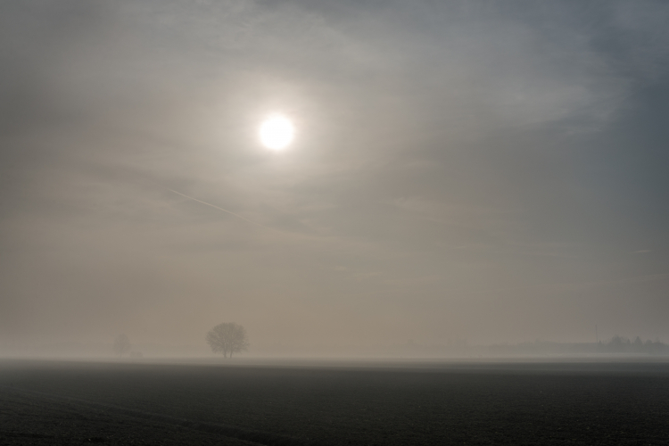 Foggy Sunrise - Nonantola, Modena, Italy - December 15, 2015