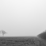 Fog & Mist
