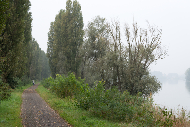 Po River Trail - Boretto, Reggio Emilia, Italy - October 8, 2014