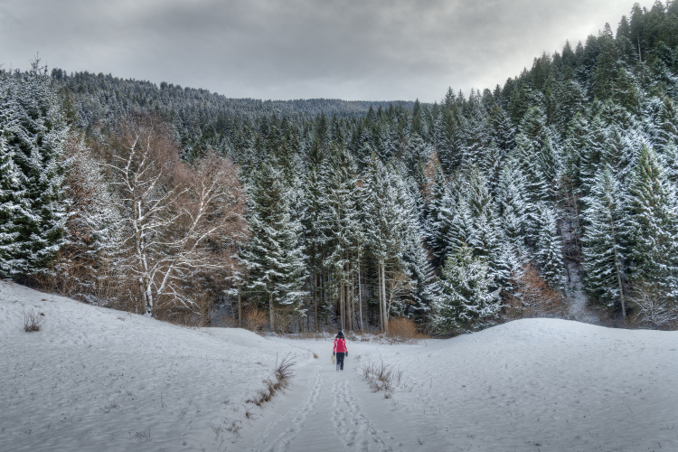 Into the Wild - Andalo, Trento, Italy - December 28, 2014