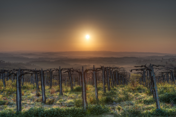 Sunrise - San Gimignano, Siena, Italy - March 26, 2016