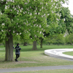 Park