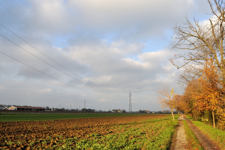 Via Delle Querce - Fellegara, Scandiano, Reggio Emilia, Italy - December 2, 2012