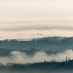 Fog & Mist